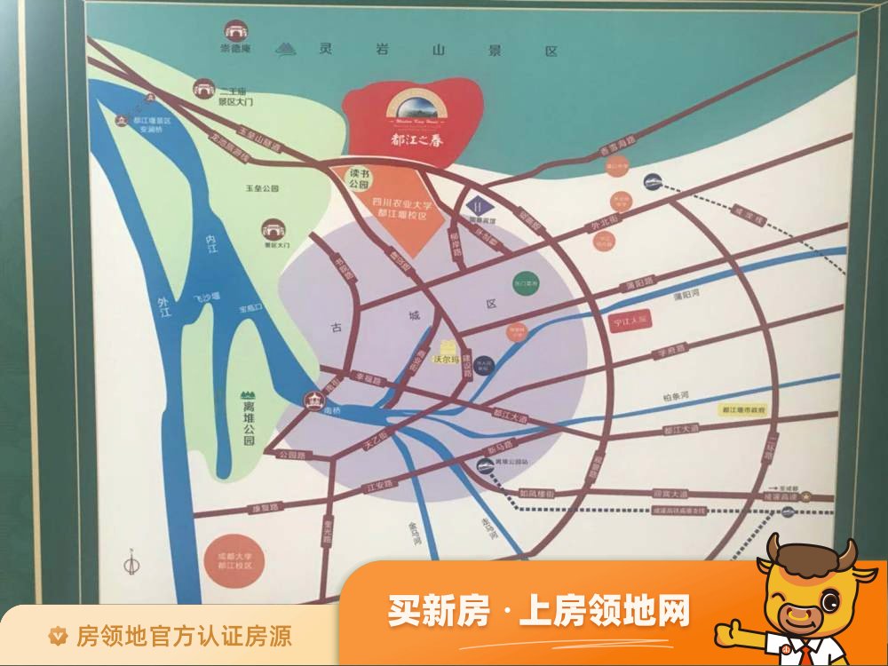 都江之春位置交通图6