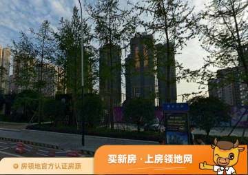 泰华锦城实景图9