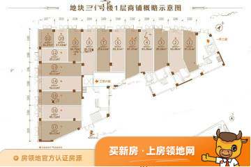 龙湖梵城规划图1