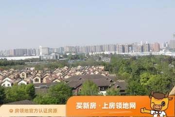 棠湖泊林城实景图6