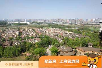棠湖泊林城实景图8