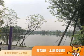 棠湖泊林城实景图13