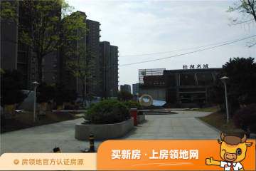 桂湖名城实景图2