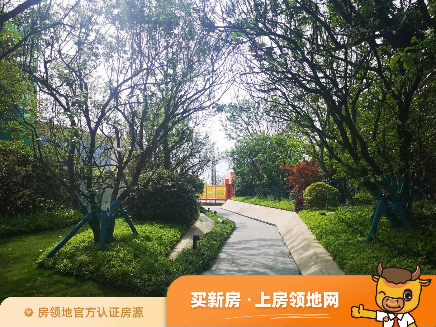嘉宇柳湖印实景图1