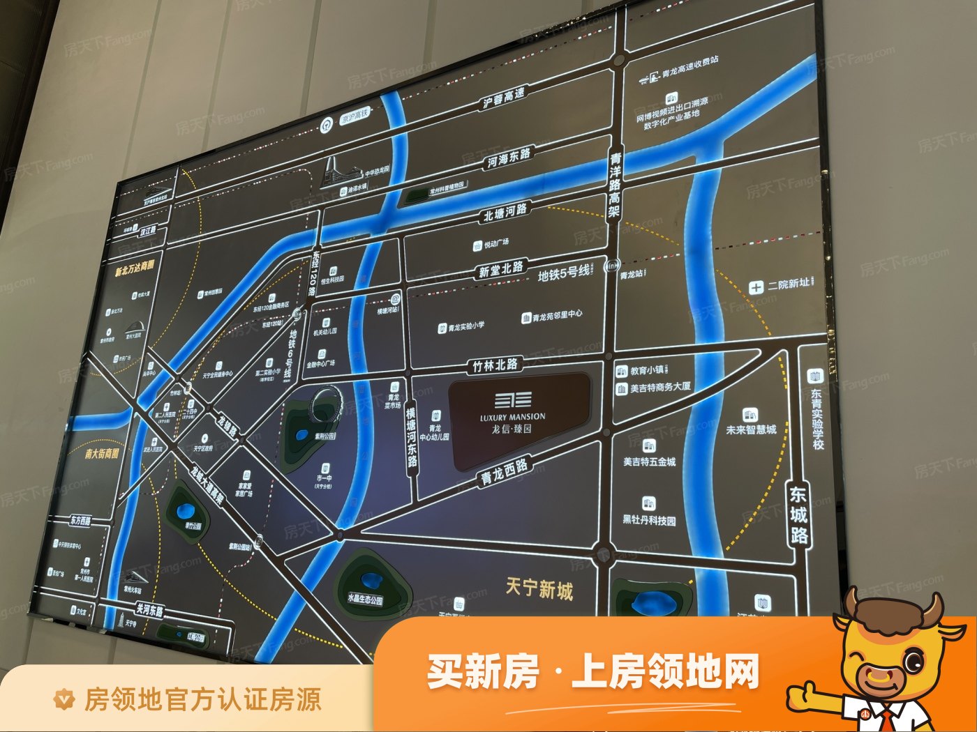 龙信臻园规划图53