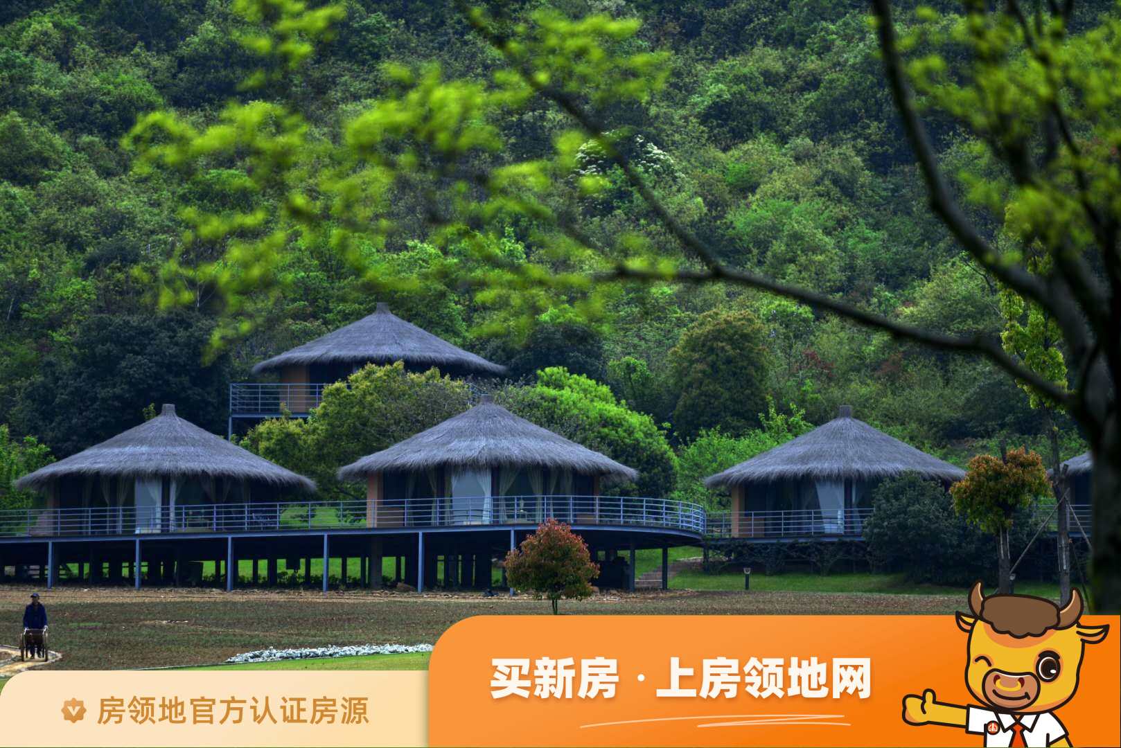 太湖香树湾花园实景图11