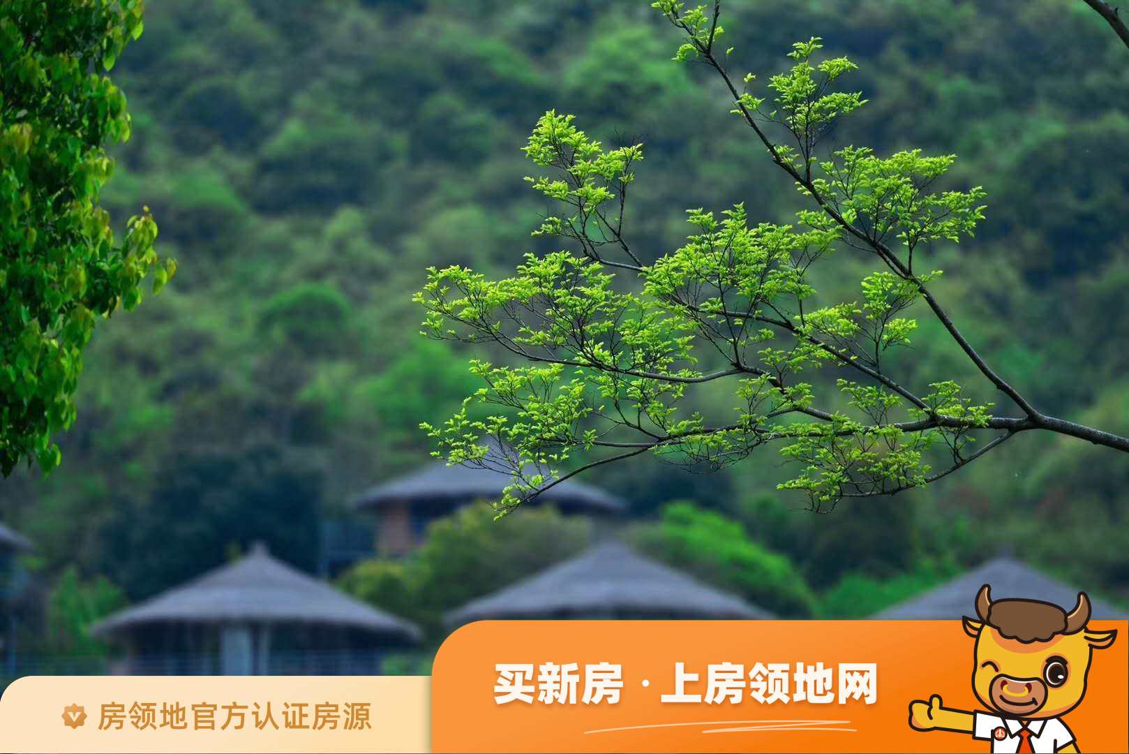 太湖香树湾花园实景图10