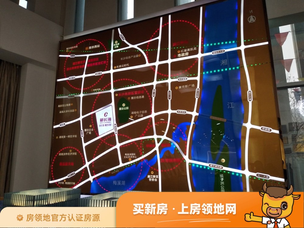 麓谷新长海中心位置交通图7