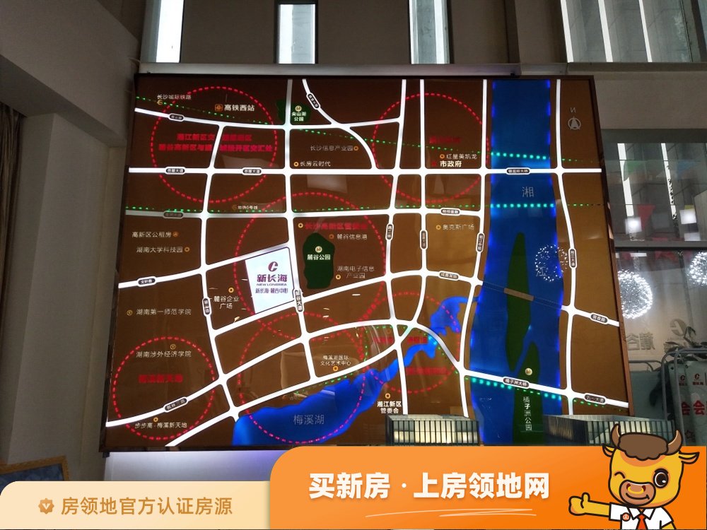 麓谷新长海中心位置交通图6
