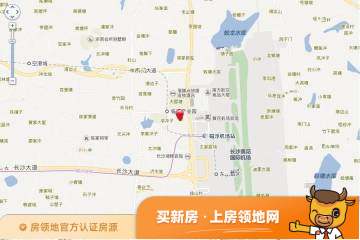 湘域国际广场位置交通图4
