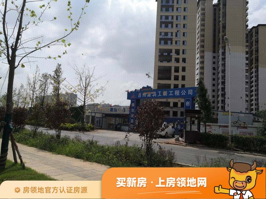 蓝光雍锦半岛(住宅)实景图5