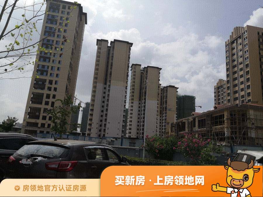 蓝光雍锦半岛(住宅)实景图或效果图