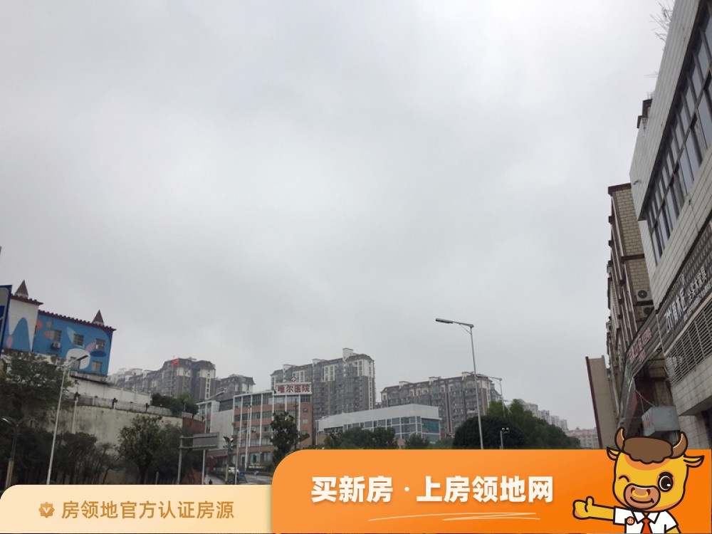 中国铁建18公馆（住宅）实景图8