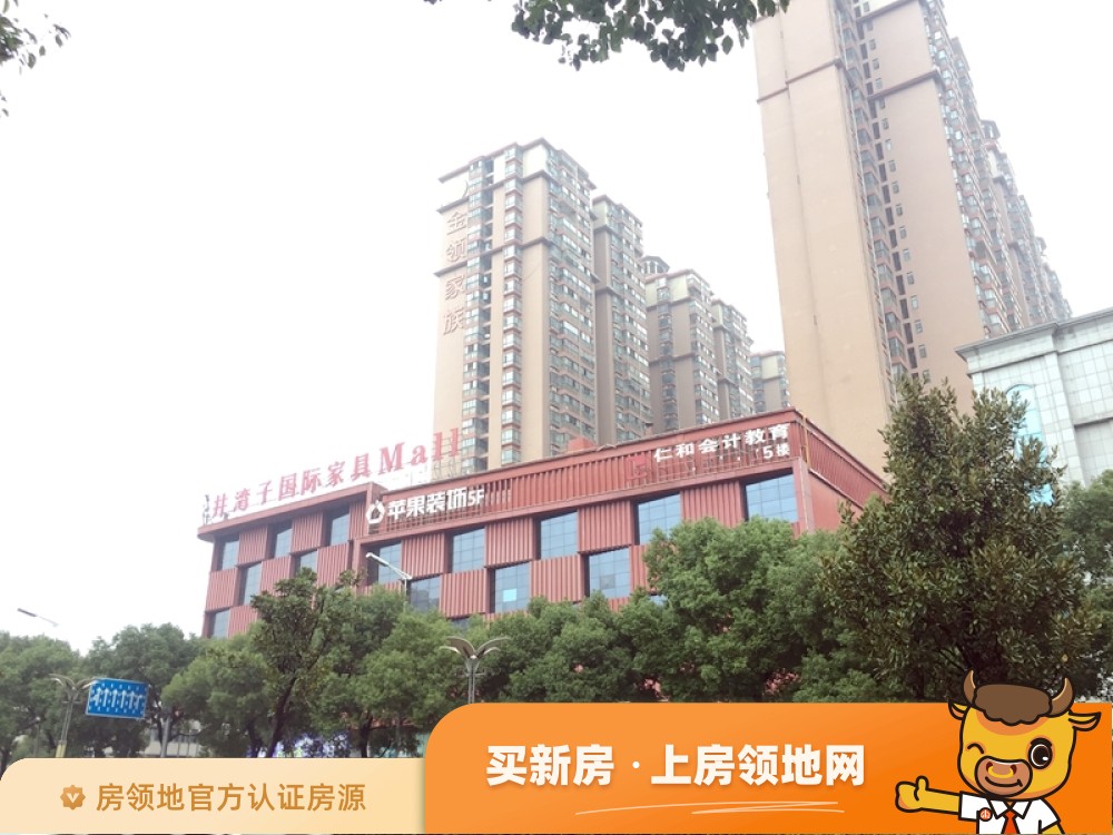 中国铁建18公馆（住宅）实景图2