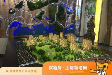 国合锦城实景图3
