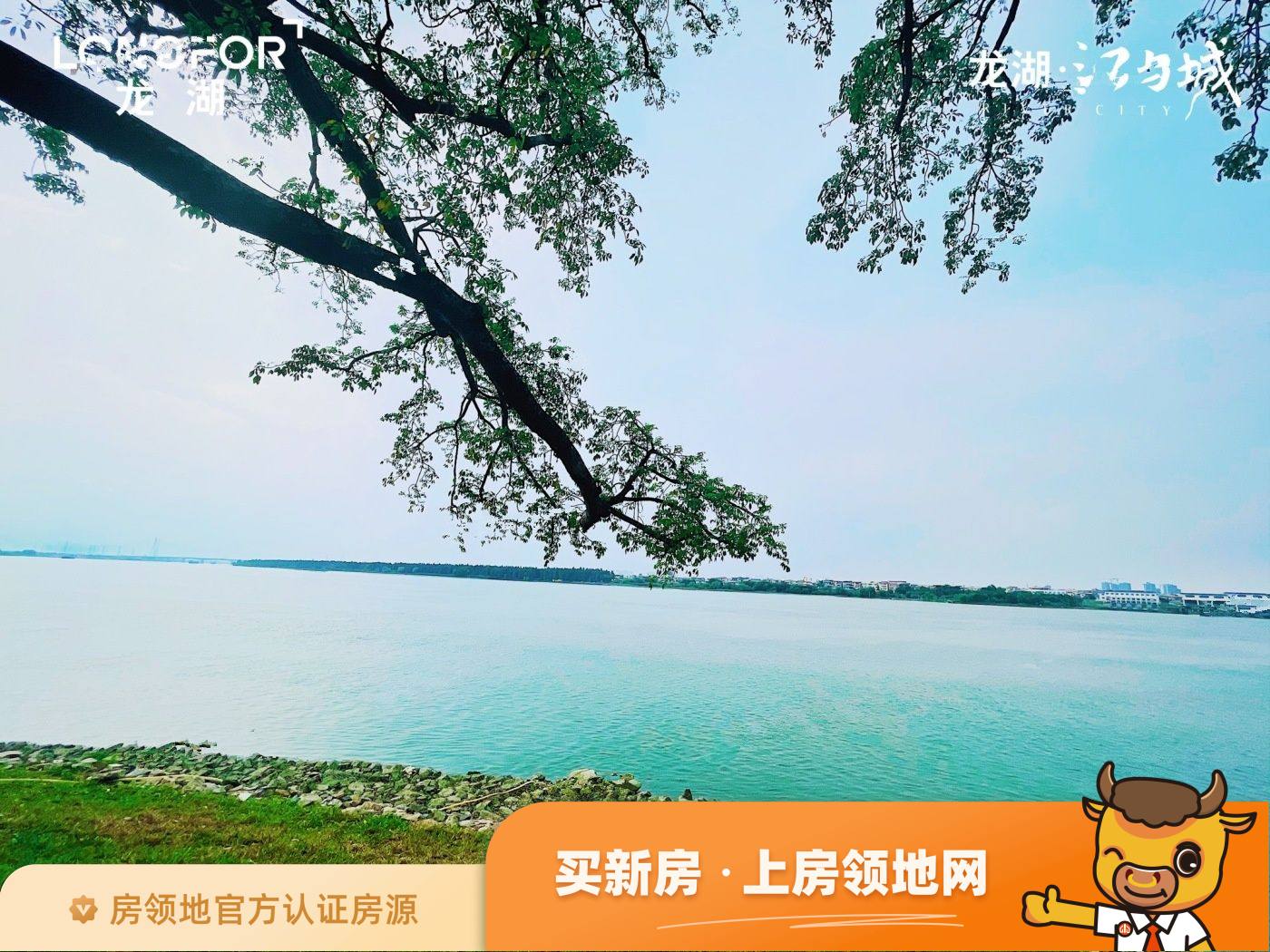 龙湖江与城配套图7