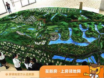 广佛新世界花园洋房规划图2