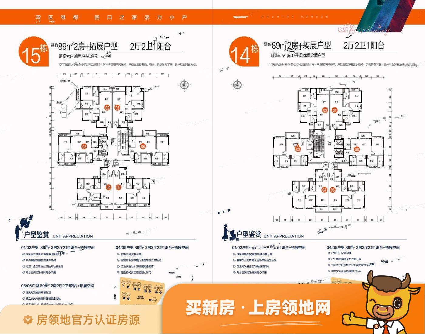 碧桂园凤凰湾规划图7
