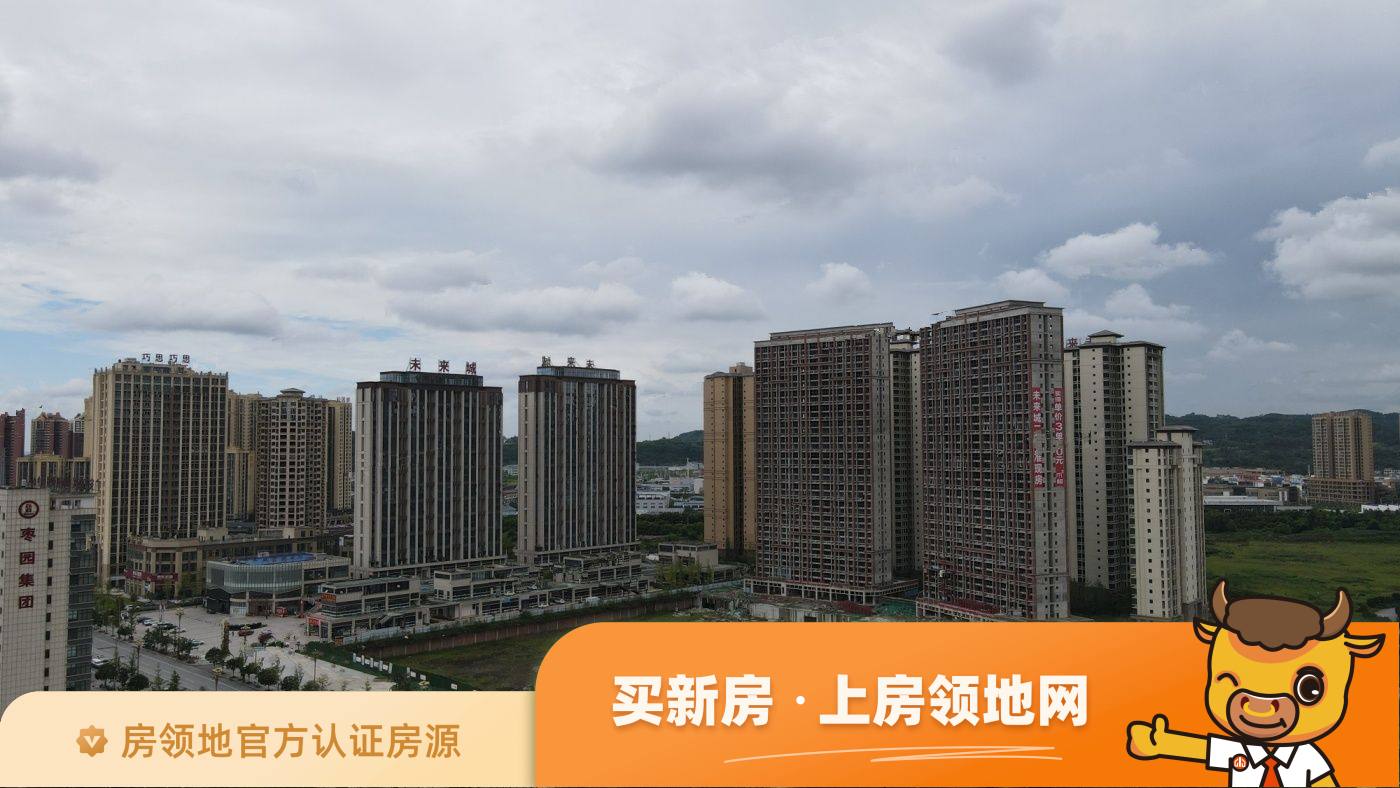 广安未来城实景图14