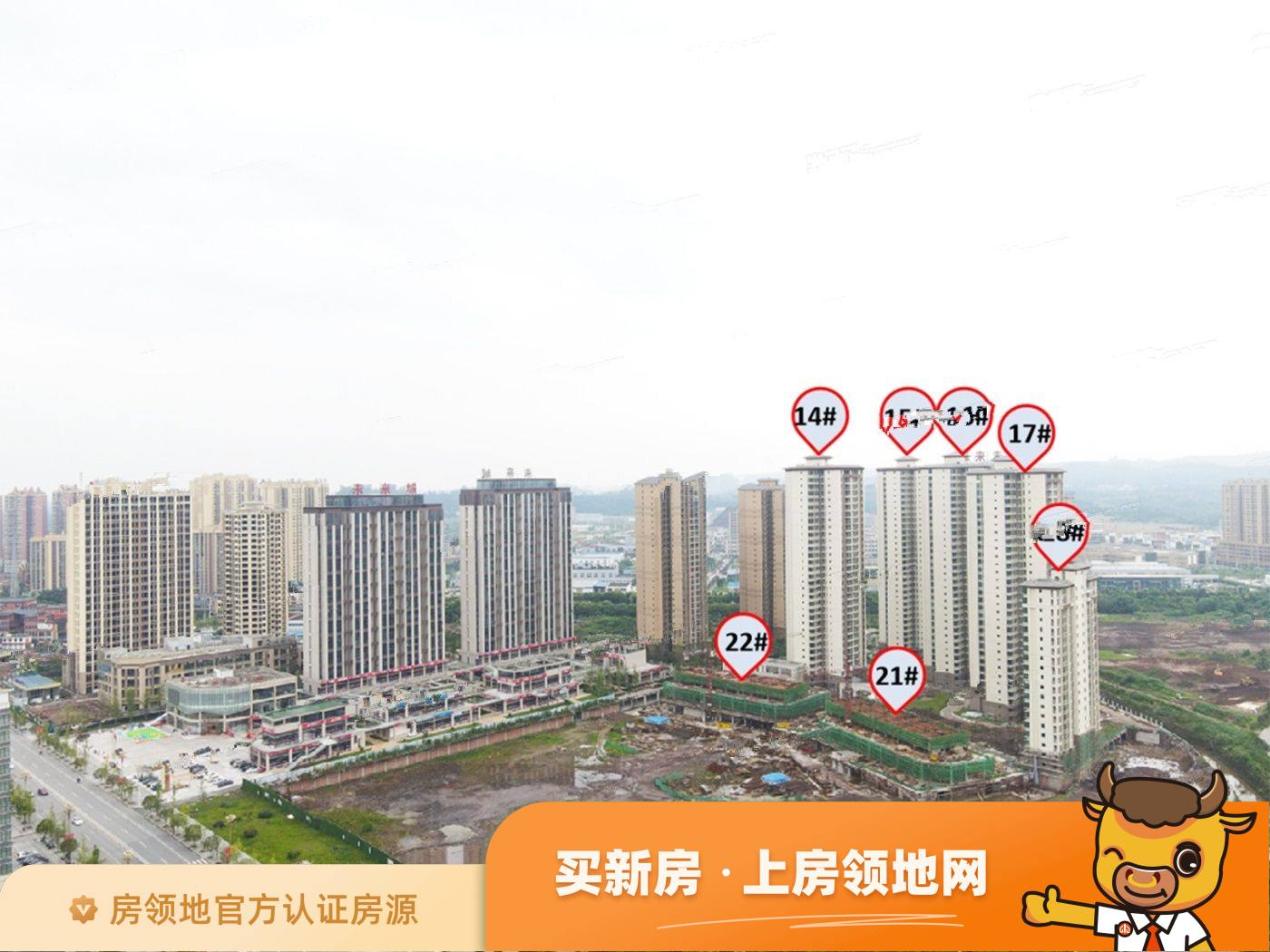 广安未来城实景图18