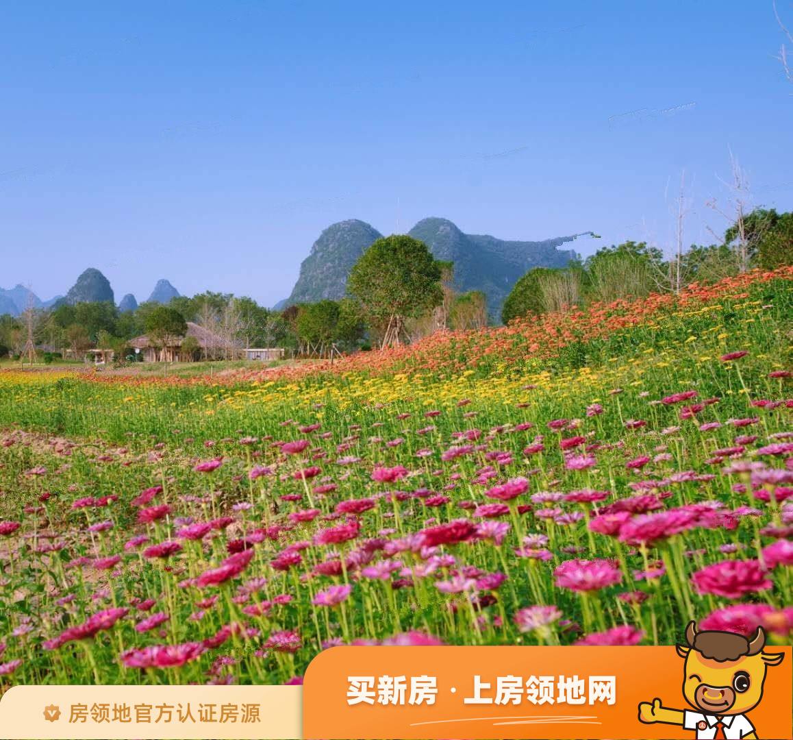 桂林山水里实景图5