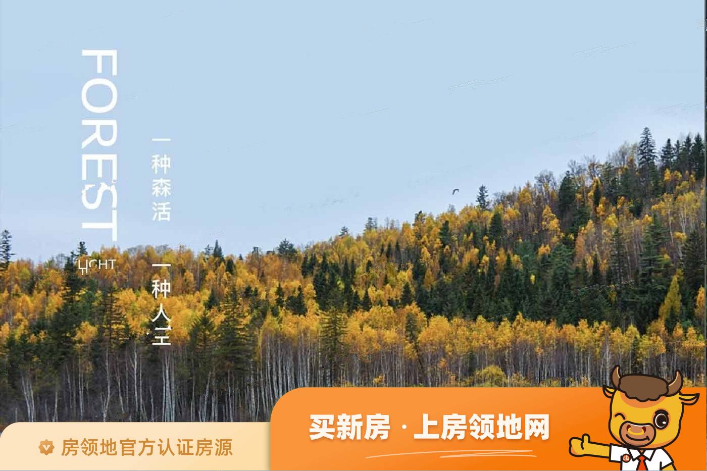 中南湖光森林效果图1