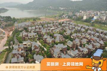 希尔安江上城实景图9