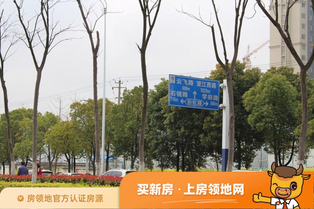 蓝光雍锦半岛位置交通图9