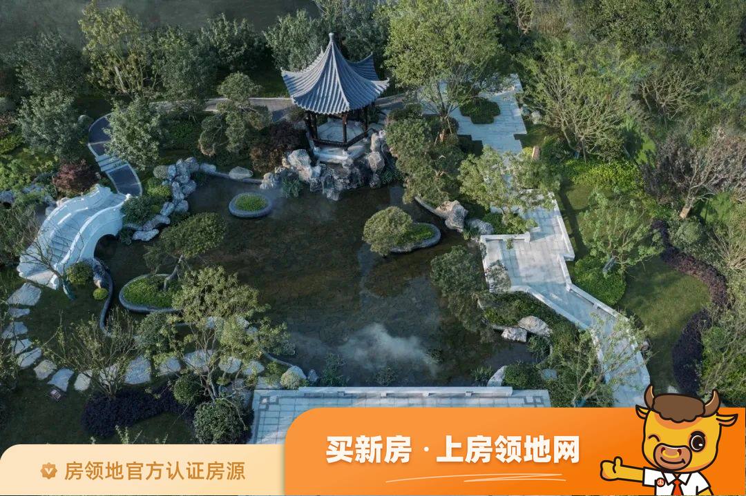 万景進园实景图6