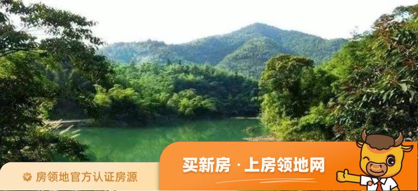 潼湖凤鸣湾花园实景图17
