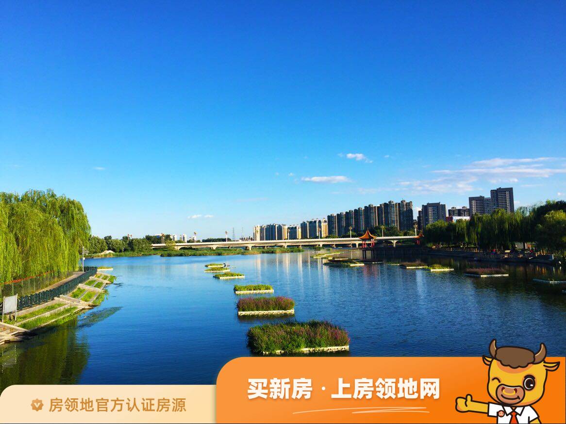 珠江四季悦城实景图1