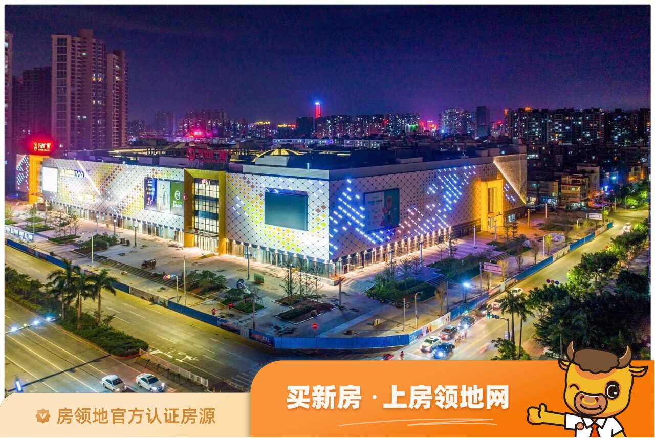 珠江四季悦城实景图9
