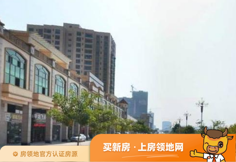 上河坊商业城实景图7