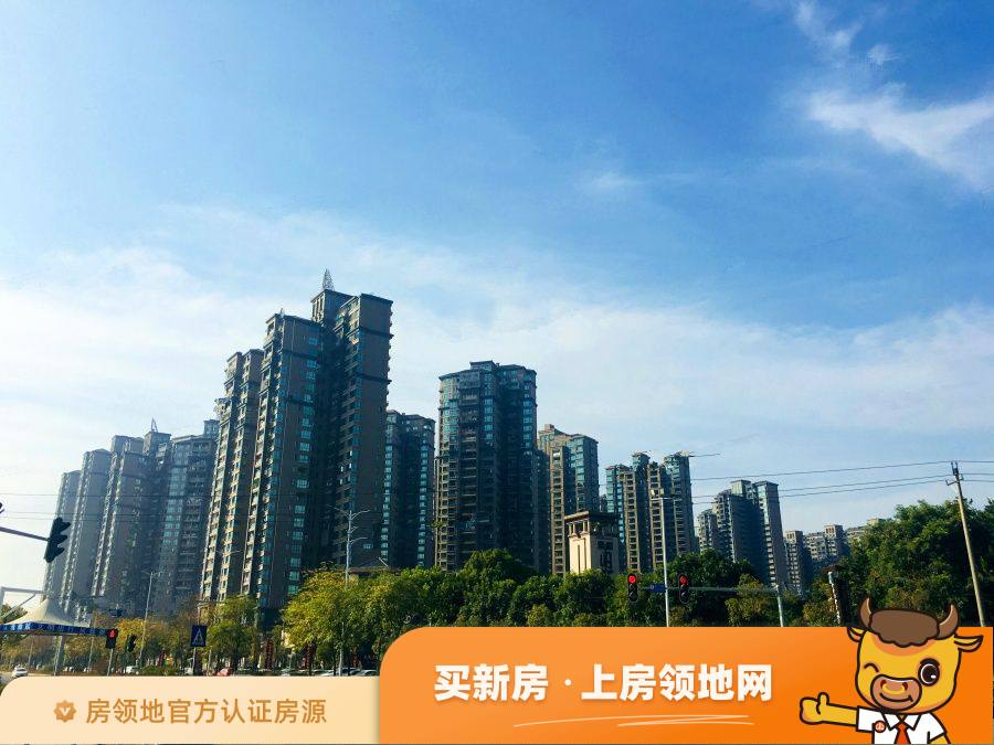 鼎峰公园豪庭实景图5