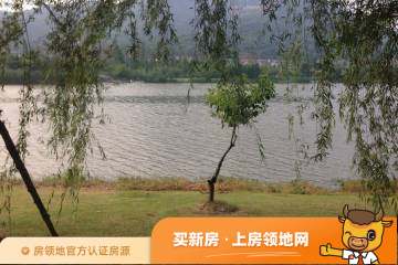 佳源湘湖印象位置交通图4