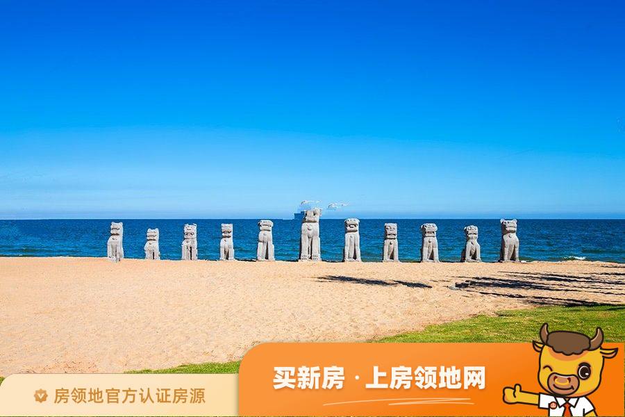 鼎龙湾国际海洋度假区配套图46