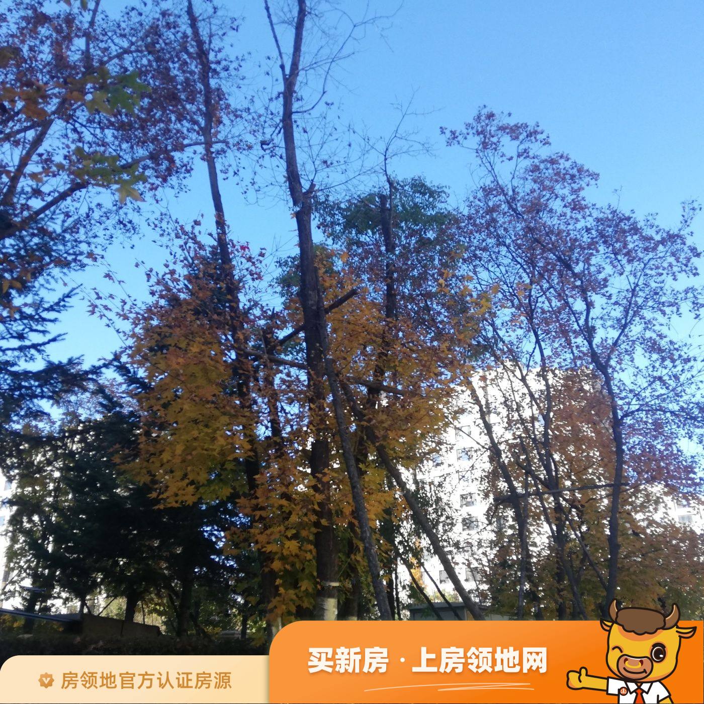 星光江城实景图9