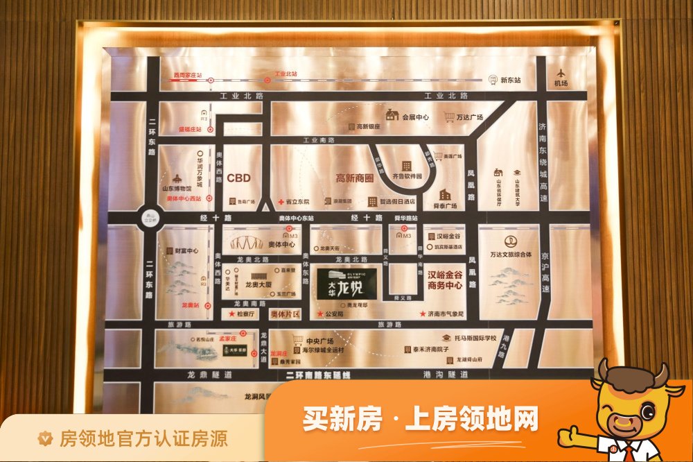 大华龙悦位置交通图47