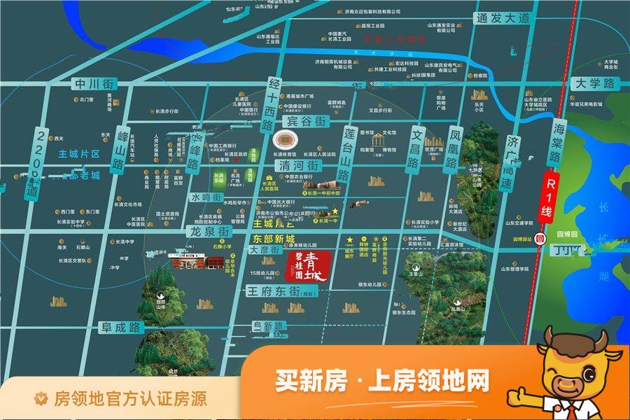 碧桂园青城位置交通图25