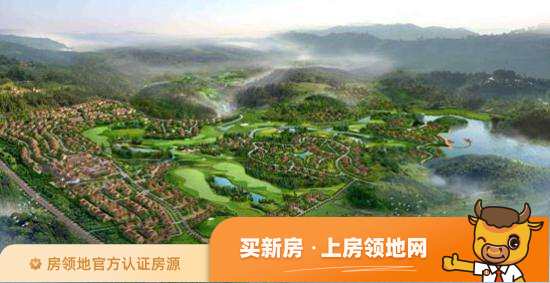 荣盛国际高尔夫温泉小镇规划图2