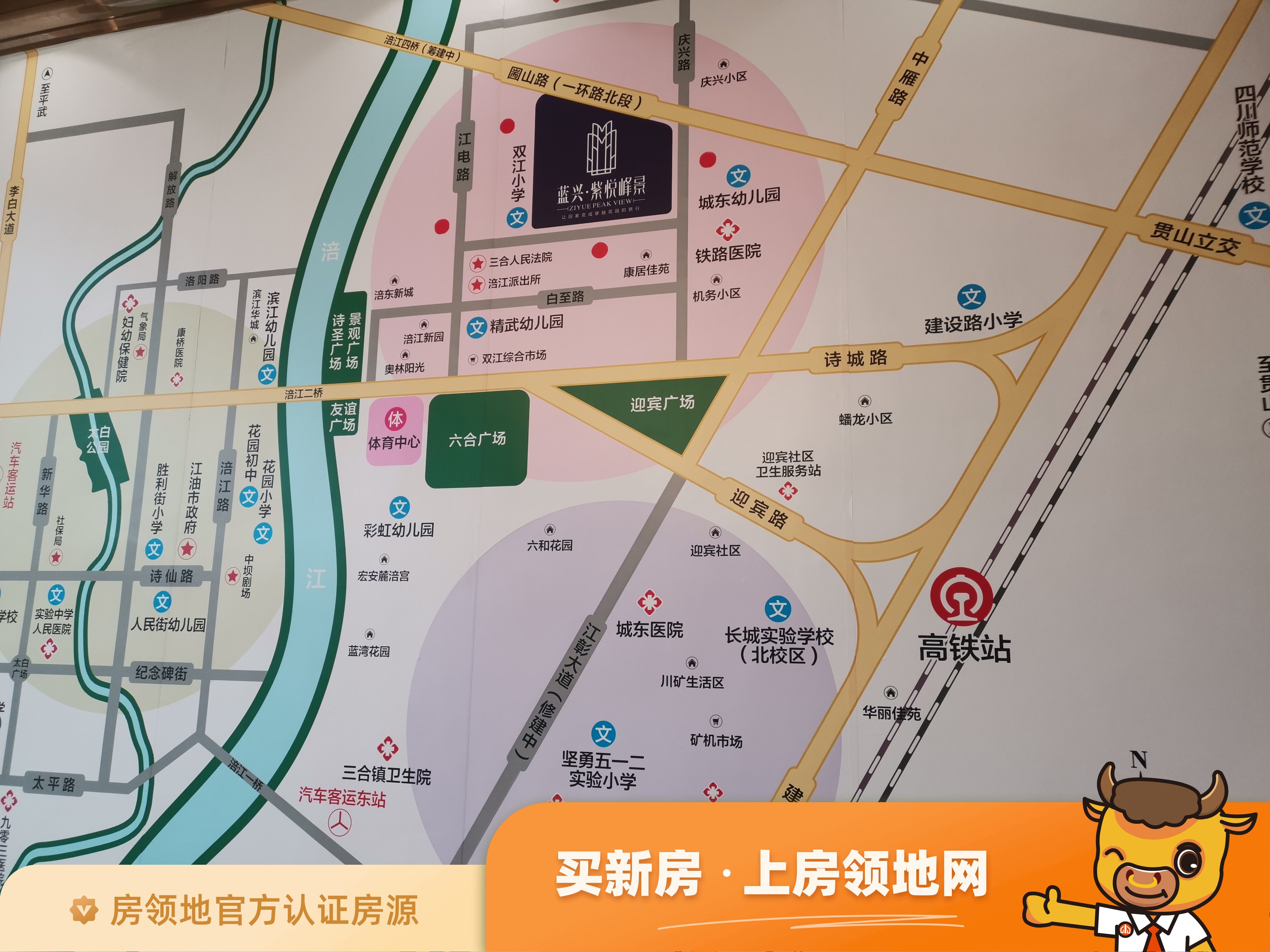 蓝兴紫悦峰景规划图14