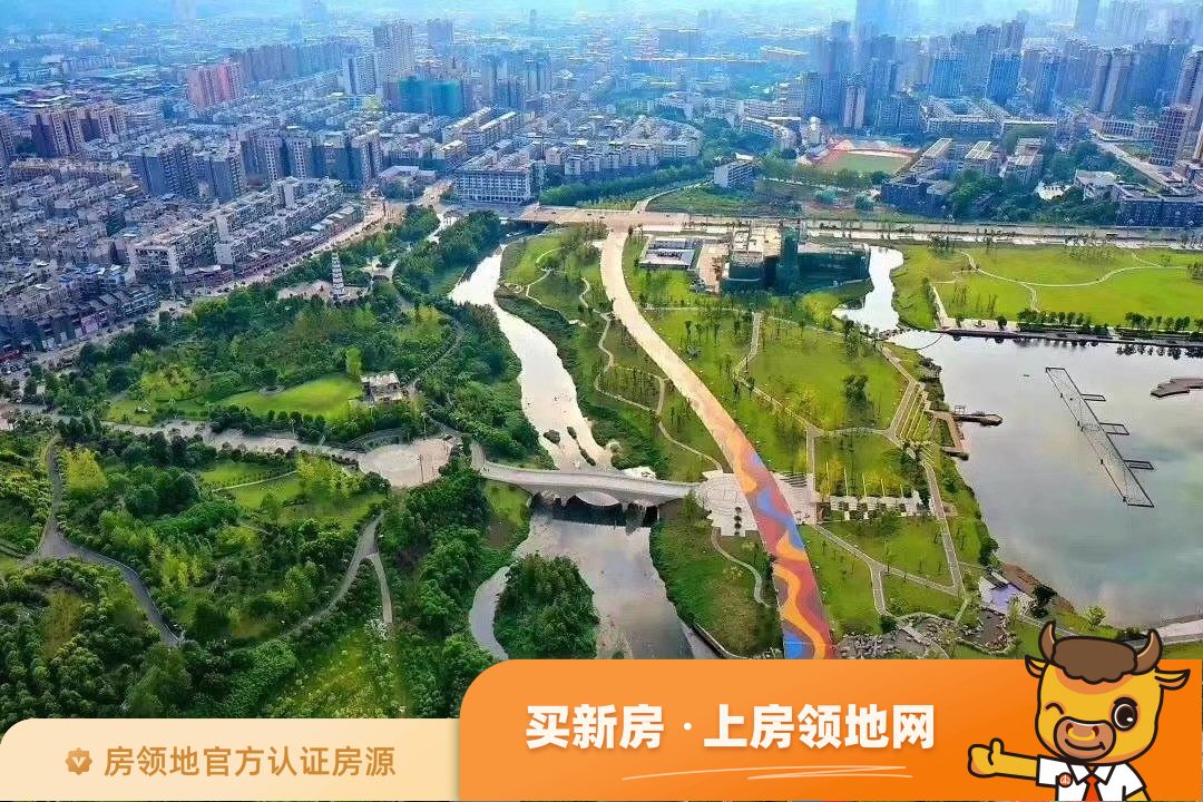 锦城中央公园实景图1