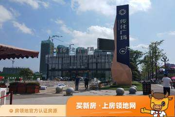 内江传化广场锦城多少钱一平米