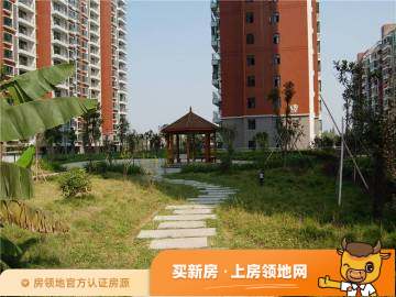 潜江盛世东城在售户型，2居、3居，建面19-142m²