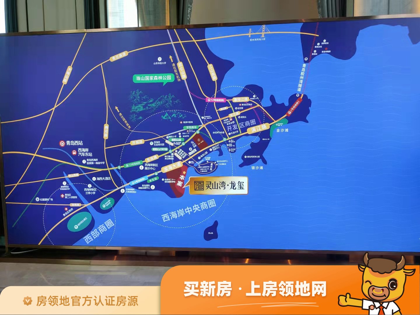灵山湾龙玺规划图62