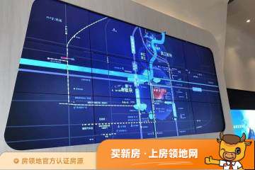 上海龙湖春江天玺位置交通图79