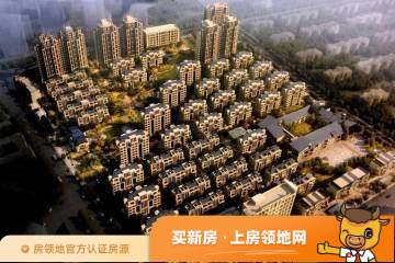 上海大华斐勒公园均价为102600元每平米