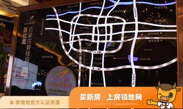 碧桂园凤凰城位置交通图49