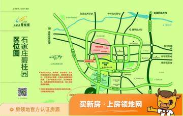碧桂园凤凰城位置交通图50