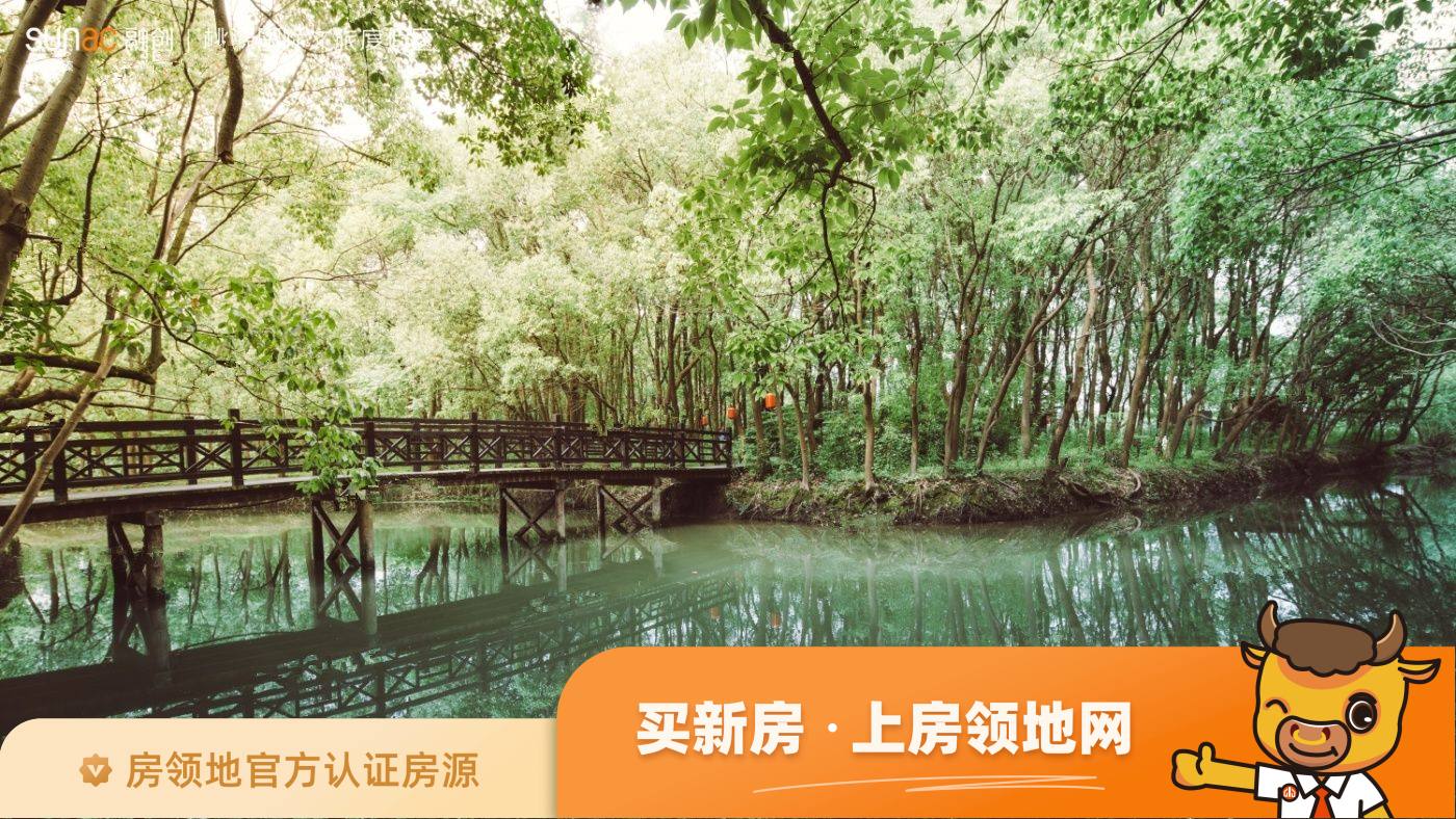 桃源森林国际旅游度假区实景图9